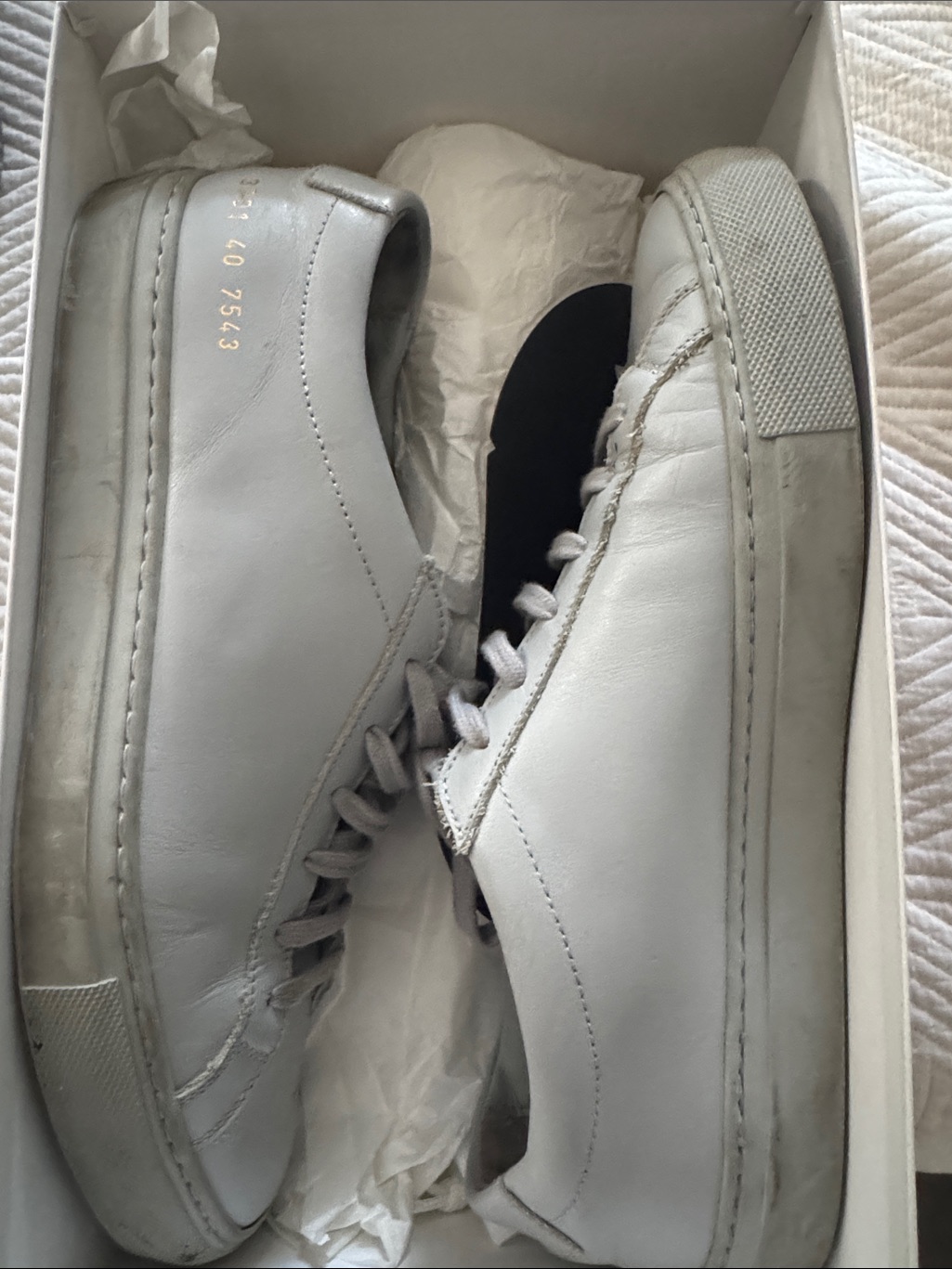 Common Projects Grey Leather Low-Top Sneakers